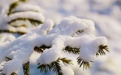 Meteorološka pojava za koju se izdaje upozorenje: Pojačan vjetar
