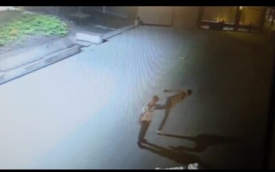 Žalosni čin vandalizma